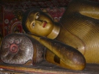 reclining.JPG (215 KB)